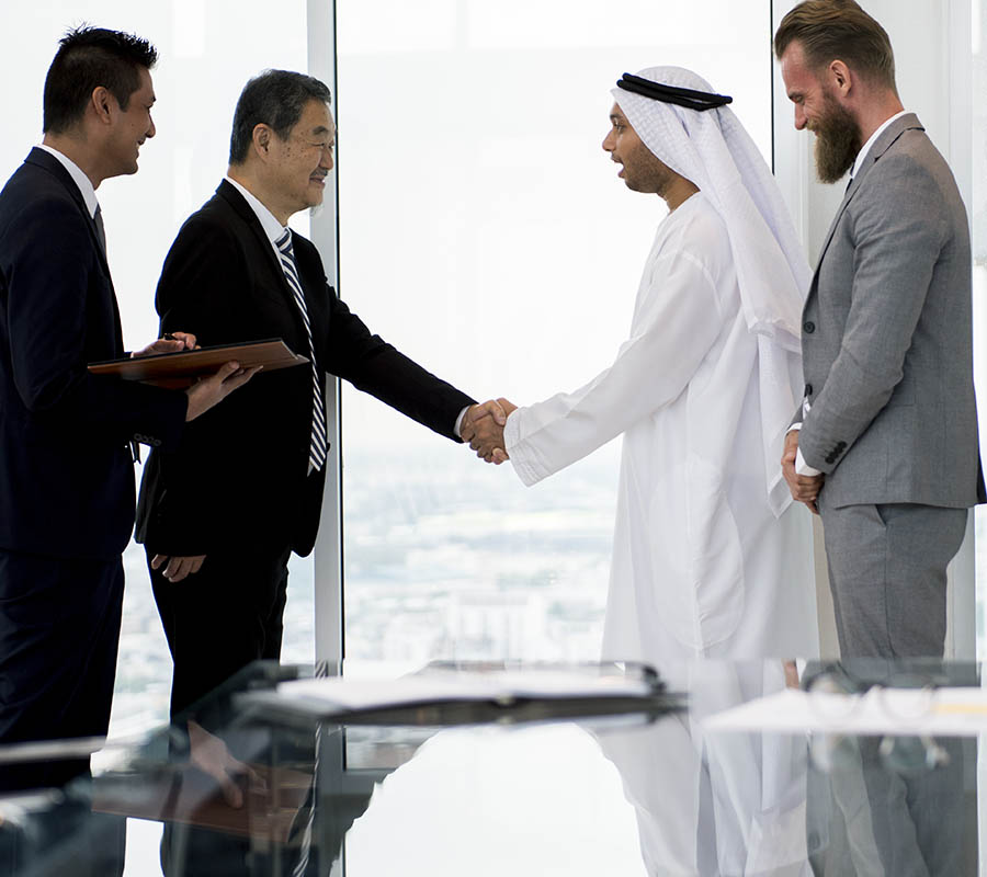 Business Setup Advisory
